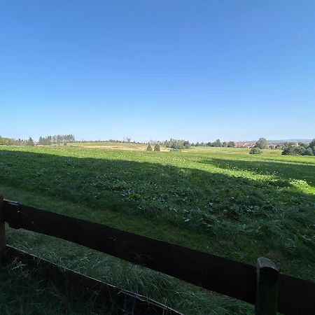 Bergwiesenblick38678 Clausthal-Zellerfeld Exteriér fotografie
