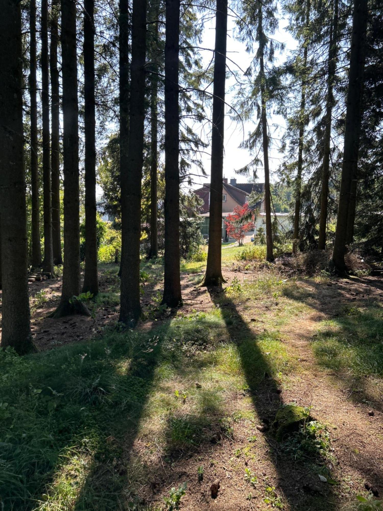 Bergwiesenblick38678 Clausthal-Zellerfeld Exteriér fotografie