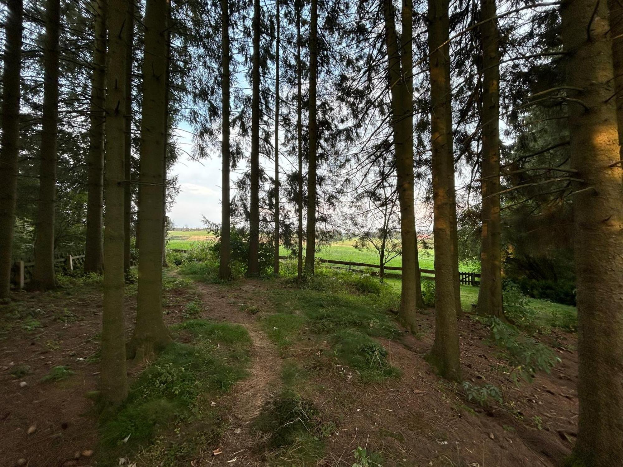 Bergwiesenblick38678 Clausthal-Zellerfeld Exteriér fotografie